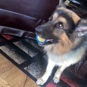 Meet your Poshmarker Tj